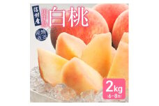 ＜信州産＞川中島白桃2kg(6-8玉)【1232139】