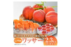 信州産ワッサー2.3kg_ 桃 もも 果物 くだもの フルーツ モモ ネクタリン 信州産 ワッサー 長野県 北信 中野市 固め 硬め 珍種 珍しい【1232140】