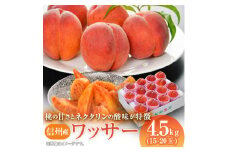 信州産ワッサー4.5kg_ 桃 もも 果物 くだもの フルーツ モモ ネクタリン 信州産 ワッサー 長野県 北信 中野市 固め 硬め 珍種 珍しい 【1232141】