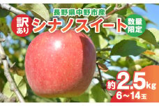 ＜2025年発送＞＜数量限定!＞シナノスイート 訳あり 約2.5kg 6-14玉 中野市産【1414220】