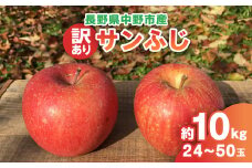 ＜2024年産受付開始!＞サンふじ 訳あり 約10kg 24-50玉 中野市産【1415429】
