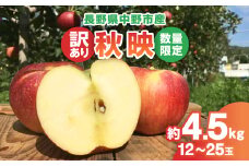 ＜2025年発送＞＜数量限定!＞秋映 訳あり  約4.5kg(12-25玉) 中野市産 信州りんご【1412993】