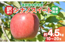 ＜2025年発送＞＜数量限定!＞シナノスイート訳あり約4.5kg10-20玉【1414231】