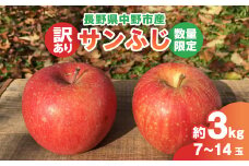 ＜2024年産受付開始!数量限定＞サンふじ 訳あり 約3kg 7-14玉 中野市産_ りんご ふじ サンふじ リンゴ 林檎 甘い 訳あり 長野県 産地直送 数量限定 不揃い 傷 家庭用 3kg 秋 冬 くだもの 果物 果実 フルーツ 送料無料 【1414255】