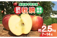 ＜2025年発送＞＜数量限定!＞秋映 訳あり  約2.5kg 信州りんご 中野市産 7-14玉【1412953】