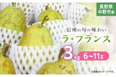長野県中野市産　旬の洋梨ラ・フランス3kg6～11玉【1515045】
