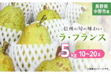 長野県中野市産　旬の洋梨ラ・フランス5kg10～20玉【1515046】