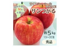 サンつがる　秀品　約5kg  13～20玉【1516976】