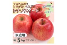 シナノスイート 家庭用 5kg(13～20玉)【1519653】