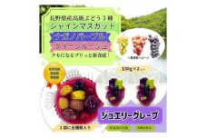 ＜長野県産＞ジュエリーグレープ〔2パック〕〔高級ぶどう3種使用〕〔化学合成添加物・砂糖不使用〕【1519539】