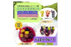 ＜長野県産＞ジュエリーグレープ〔3パック〕〔高級ぶどう3種使用〕〔化学合成添加物・砂糖不使用〕【1519542】