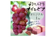 オリジナルオリンピア 1kg 化粧箱入＜沖縄・離島への配送不可＞【1496646】