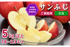JA中野市「サンふじ」ご家庭用「小玉」5kg以上(18～23玉入)_ りんご リンゴ 林檎 ふじ フジ サンフジ サンふじ 小玉 家庭用 フルーツ 果物 くだもの 青果 デザート長野県 中野市 JA 産地直送 産直 濃厚 蜜入り 【1526204】