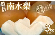 ＜信州産＞南水なし3kg_ なし 梨 ナシ 南水梨 南水なし フルーツ 果物 ふるーつ くだもの 国産 旬 産地直送 信州 長野 人気 品種 送料無料 産地直送 甘い みずみずしい 贈答 ギフト 【1246371】