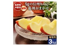 ご贈答向け 信州りんご特秀3kg_ リンゴ 林檎 フルーツ 果物 ギフト プレゼント 贈り物 お中元 送料無料 【1246268】