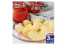ご家庭用 信州りんご3kg_ 訳あり わけあり ワケアリ りんご 林檎 リンゴ フルーツ 果物 ふるーつ くだもの 国産 旬 家庭用 規格外 傷 不揃い 産地直送 信州 長野 人気 品種 送料無料 産直 食べ比べ 【1246323】