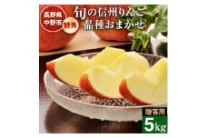 ご贈答向け 信州りんご特秀5kg_ りんご リンゴ 林檎 秋映 シナノスイート サンふじ サンつがる 甘い 長野県 産地直送 ギフト 贈答用 プレゼント 5kg 旬 秋 冬 くだもの 果物 果実 フルーツ デザート おやつ 季節で変わる 品種 送料無料 【1246302】