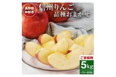ご家庭用 信州りんご5kg_ 訳あり わけあり ワケアリ りんご 林檎 リンゴ フルーツ 果物 ふるーつ くだもの 国産 旬 家庭用 規格外 傷 不揃い 産地直送 信州 長野 人気 品種 送料無料 産直 【1246339】