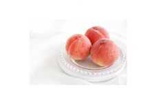 ＜2025年発送＞フルーツ王国　長野県信州直送「旬な桃」　あかつき　約1.5kg(4～7玉)_ 桃 もも 果物 フルーツ くだもの あかつき 贈答 ギフト プレゼント 信州 長野 送料無料 人気 産地直送 おすすめ 【1530510】