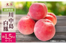 ＜2025年発送＞フルーツ王国　長野県信州直送　桃　川中島白鳳　約1.5kg(4～7玉)_ 桃 もも 果物 フルーツ くだもの 白鳳 川中島白鳳 贈答 ギフト プレゼント 信州 長野 送料無料 人気 産地直送 おすすめ 【1530522】