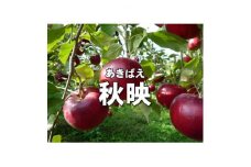 パリッとりんご!秋映 約5kg【1530794】