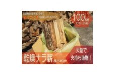 北信州産 乾燥ナラ薪100kg 大割(長さ約40cm)＜複数個口で配送＞【4054302】