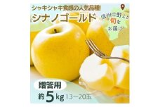 シナノゴールド贈答用5kg【1534181】