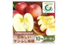 長野県の認証取得の美味しいサンふじ林檎10kg_ りんご ふじ サンふじ リンゴ 林檎 サンふじりんご 甘い 美味しい 蜜 信州 長野県 中野市 産地直送 10kg 秋 冬 くだもの 果物 果実 フルーツ デザート おやつ 減農薬 有機質肥料 送料無料 【1534439】