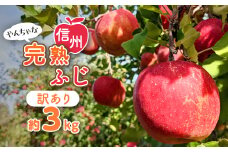 〈信州中野まつじるし農園〉やんちゃな訳あり完熟ふじ 約3kg_ りんご 林檎 完熟 ふじ フルーツ 果物 くだもの 人気 おすすめ 送料無料 家庭用 傷 規格外 不揃い 訳あり 産地直送 長野 お取り寄せ 【1521678】