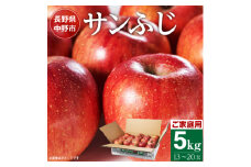 長野県北部　ご家庭用　サンふじ5kg_ りんご ふじ サンふじ リンゴ 林檎 サンふじりんご 甘い 訳あり わけあり 長野県 信州産 産地直送 不揃い 傷 家庭用 自宅用 5kg 秋 冬 くだもの 果物 果実 フルーツ デザート おやつ 送料無料 【1211763】