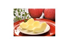 長野県北部　ご贈答品＜特秀＞サンふじ約5kg【1213337】