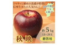 秋映　贈答用　5kg【1540365】