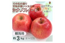 シナノスイート 贈答用 3kg(8～12玉)【1541369】