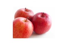 ＜2025年発送＞フルーツ王国  りんご　サンつがる 約1.5kg(3～5玉程度)_ りんご 林檎 果物 くだもの フルーツ サンつがる 長野県 産地直送 送料無料 お取り寄せ ギフト 贈答 プレゼント 信州 【1541888】