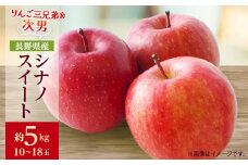 ＜2025年発送＞フルーツ王国 長野県産 りんご　シナノスイート　約5kg(10～18玉程度)【1541939】
