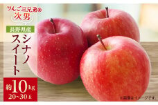＜2025年発送＞フルーツ王国　長野県産  りんご　シナノスイート　約10kg(20～30玉程度)【1541941】