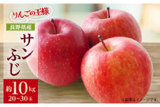 りんごの王様　長野県産 りんご　サンふじ　約10kg(20～30玉程度)【1541947】