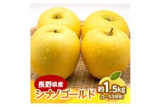 ＜2025年発送＞　長野県産 りんご　シナノゴールド　約1.5kg(3～5玉程度)【1541949】