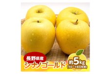 ＜2025年発送＞　長野県産 りんご　シナノゴールド　約5kg(10～18玉程度)【1541953】