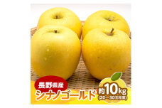 ＜2025年発送＞　長野県産 りんご　シナノゴールド　約10kg(20～30玉程度)【1541955】