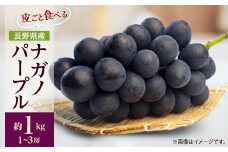 ＜2025年先行受付＞フルーツ王国信州産地直送　皮ごと食べられるナガノパープル　約1kg(1～3房)_ ナガノパープル ぶどう 葡萄 果物 フルーツ くだもの 贈答 ギフト プレゼント 信州 長野 送料無料 人気 産地直送 おすすめ 【1541964】