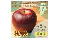 ＜訳あり＞秋映　家庭用　5kg(13～20玉)【1545330】