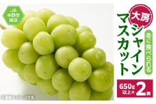 『冷蔵』12月出荷の大房シャインマスカット(2房1.3㎏以上)JA中野市から直送です【1143168】