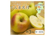 ぐんま名月　3kg(8～12玉)【1552041】