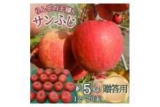 サンふじ 贈答用 約5kg(12～20玉)【1553595】