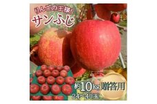 サンふじ 贈答用 約10kg(24～40玉)【1553598】