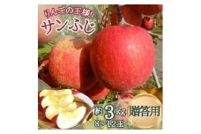 サンふじ 贈答用 約3kg(8～12玉)【1558393】
