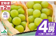 ＜発送月固定定期便＞〈2025年発送〉シャインマスカット2房1kg以上　JA中野市から直送全2回_ ぶどう 葡萄 シャインマスカット 果物 くだもの フルーツ 長野 産地直送 人気 おすすめ 送料無料 お取り寄せ 【4059319】