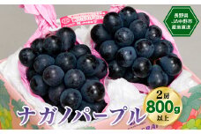 2025年先行受付　8月中旬～9月中旬お届けJA中野市産地直送!ナガノパープル2房800g以上_ ぶどう 葡萄 ナガノパープル 果物 くだもの フルーツ 長野 産地直送 人気 おすすめ 送料無料 お取り寄せ 【1218973】