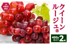 ＜2025年発送＞長野県生まれの新しいぶどうクイーンルージュ(R)2房(800g以上)中野市から直送_ ぶどう 葡萄 クイーンルージュ 果物 くだもの フルーツ 長野 産地直送 人気 おすすめ 送料無料 お取り寄せ 【1570785】